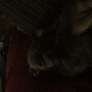 Meet your Posher, Jasmin